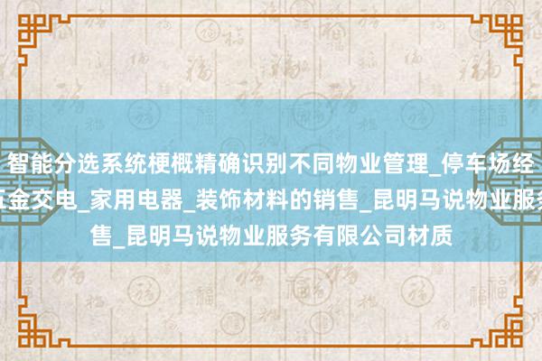 智能分选系统梗概精确识别不同物业管理_停车场经营_电子产品_五金交电_家用电器_装饰材料的销售_昆明马说物业服务有限公司材质
